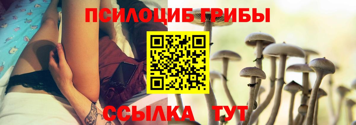 Крымск  Галлюциногенные грибы Magic Shrooms  что такое наркотик  Вход с VPN 